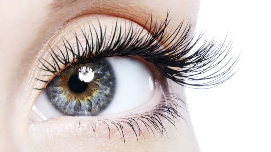 Lash Lift